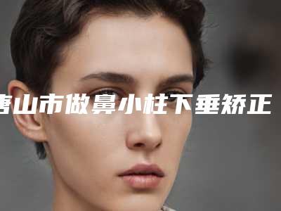 唐山市做鼻小柱下垂矫正术好的医院(唐山艾玲医疗美容门诊部点着看价格表_技术)